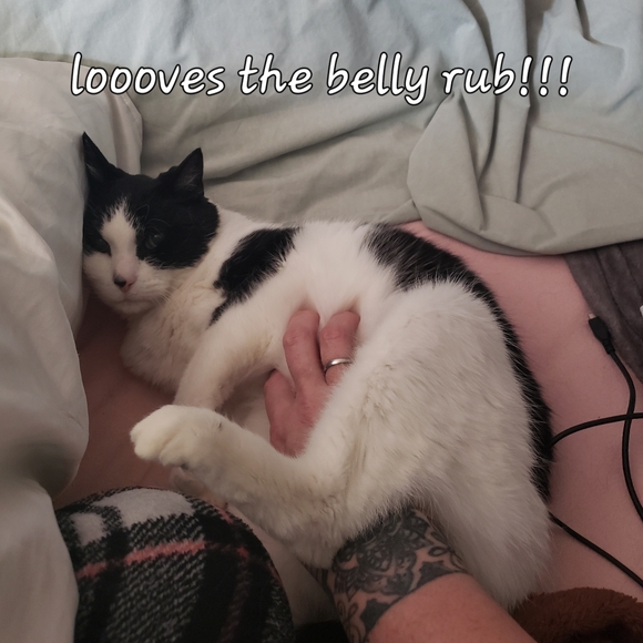 Meet your Posher, Bri - Picture 7 of 9